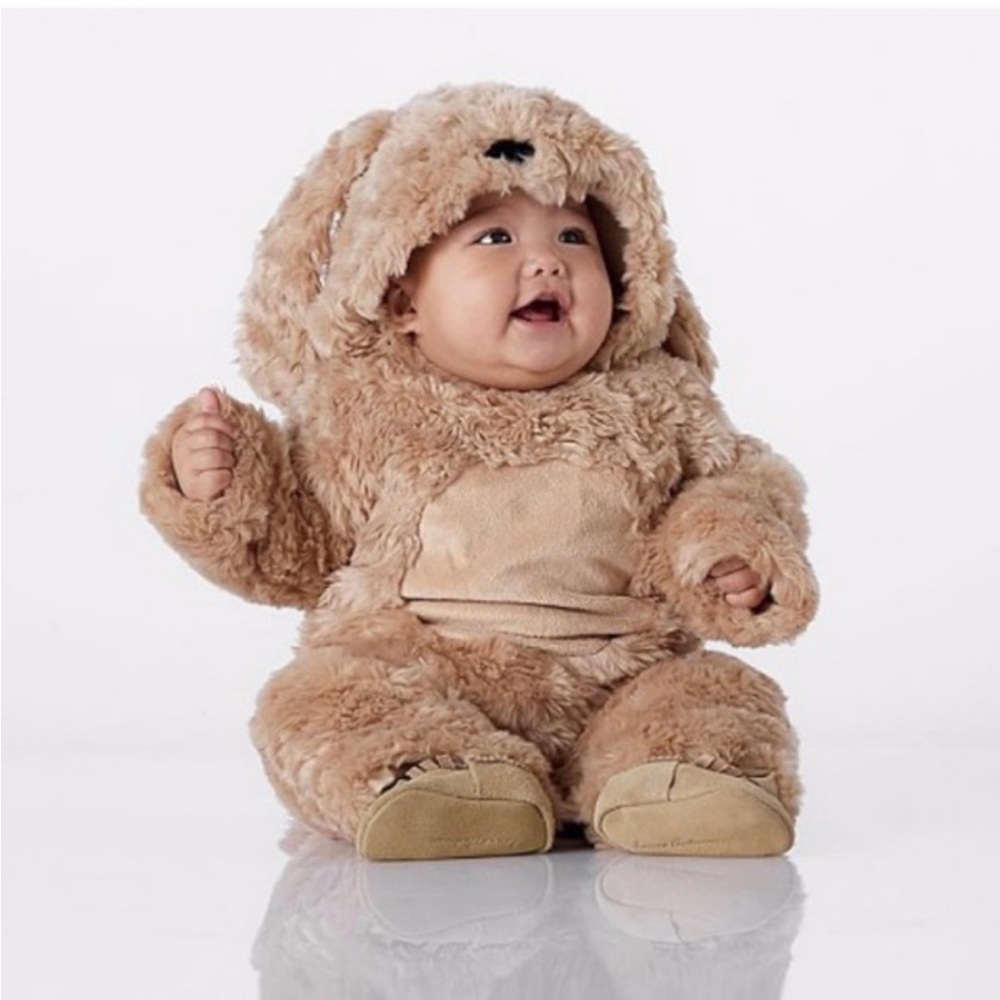 Pottery Barn Kids puppy costume 12-24